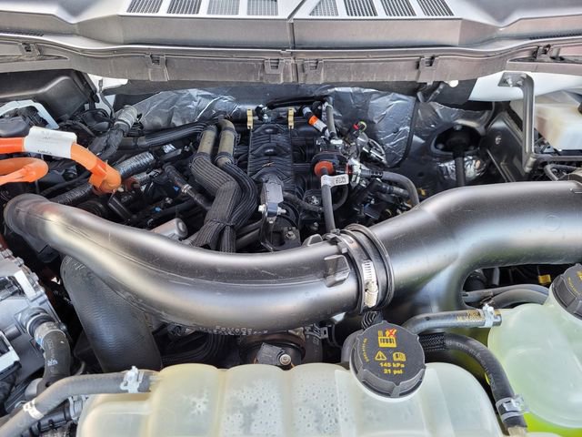 Used 2024 Ford F150 XLT w/ Equipment Group 302A MID image 20