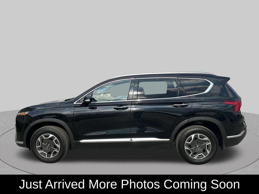 Used 2021 Hyundai Santa Fe Blue AWD/4WD video 2