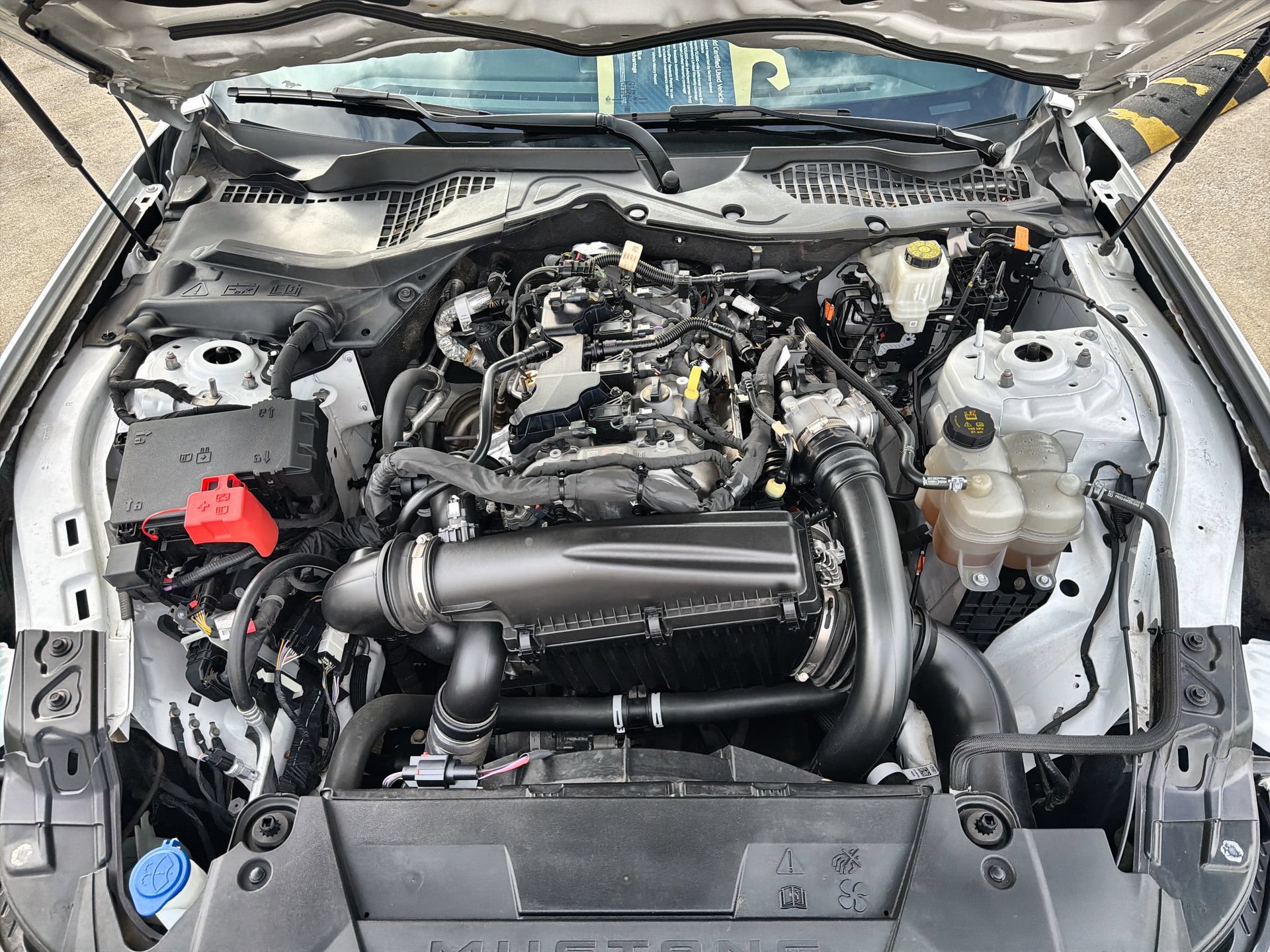Certified 2024 Ford Mustang Coupe RWD image 24