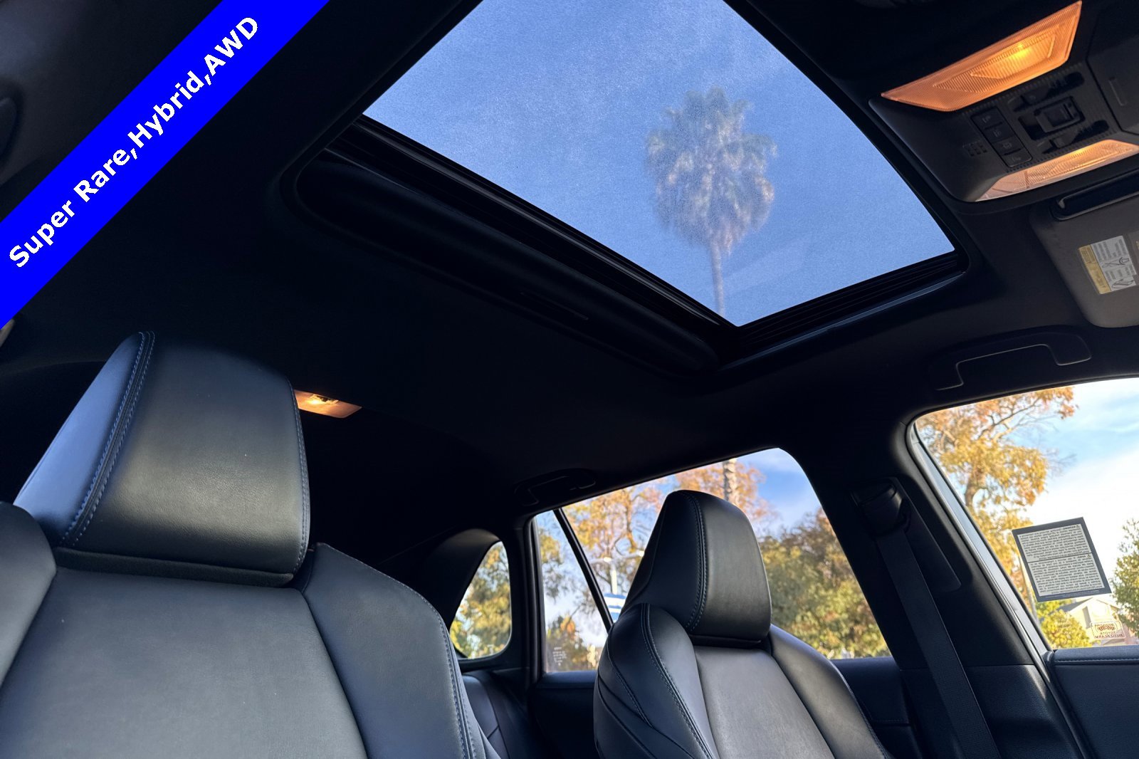 Used 2019 Toyota RAV4 XSE w/ XSE Weather Package image 16