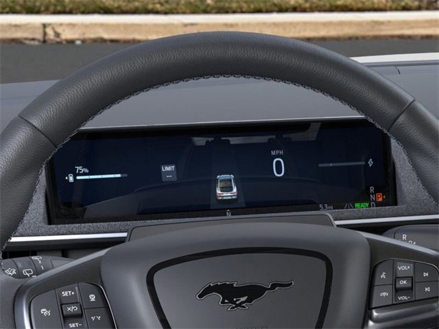 New 2025 Ford Mustang Mach-E GT w/ Interior Protection Package image 13