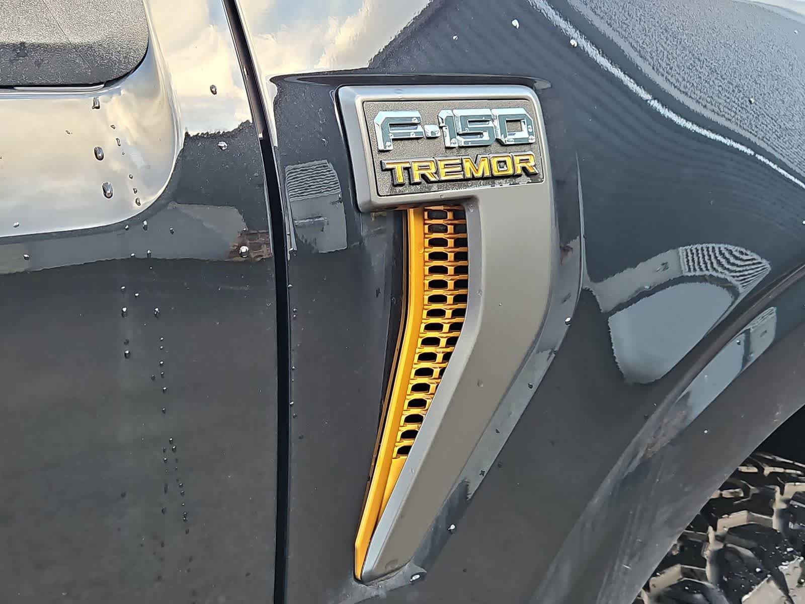 Used 2024 Ford F150 Tremor w/ Bed Utility Package AWD/4WD image 12