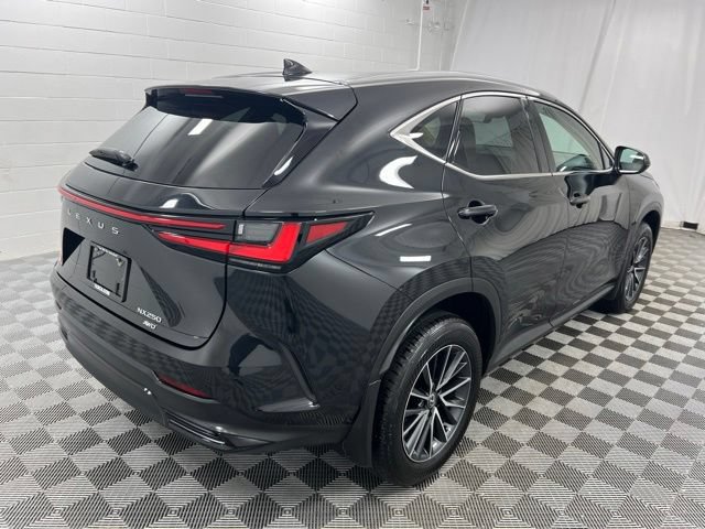 Used 2024 Lexus NX 250 AWD w/ Cold Area Package image 5
