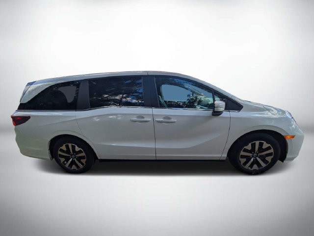 Used 2025 Honda Odyssey EX-L image 3