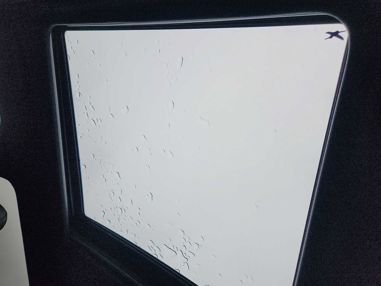 New 2026 Subaru Forester Wilderness image 7