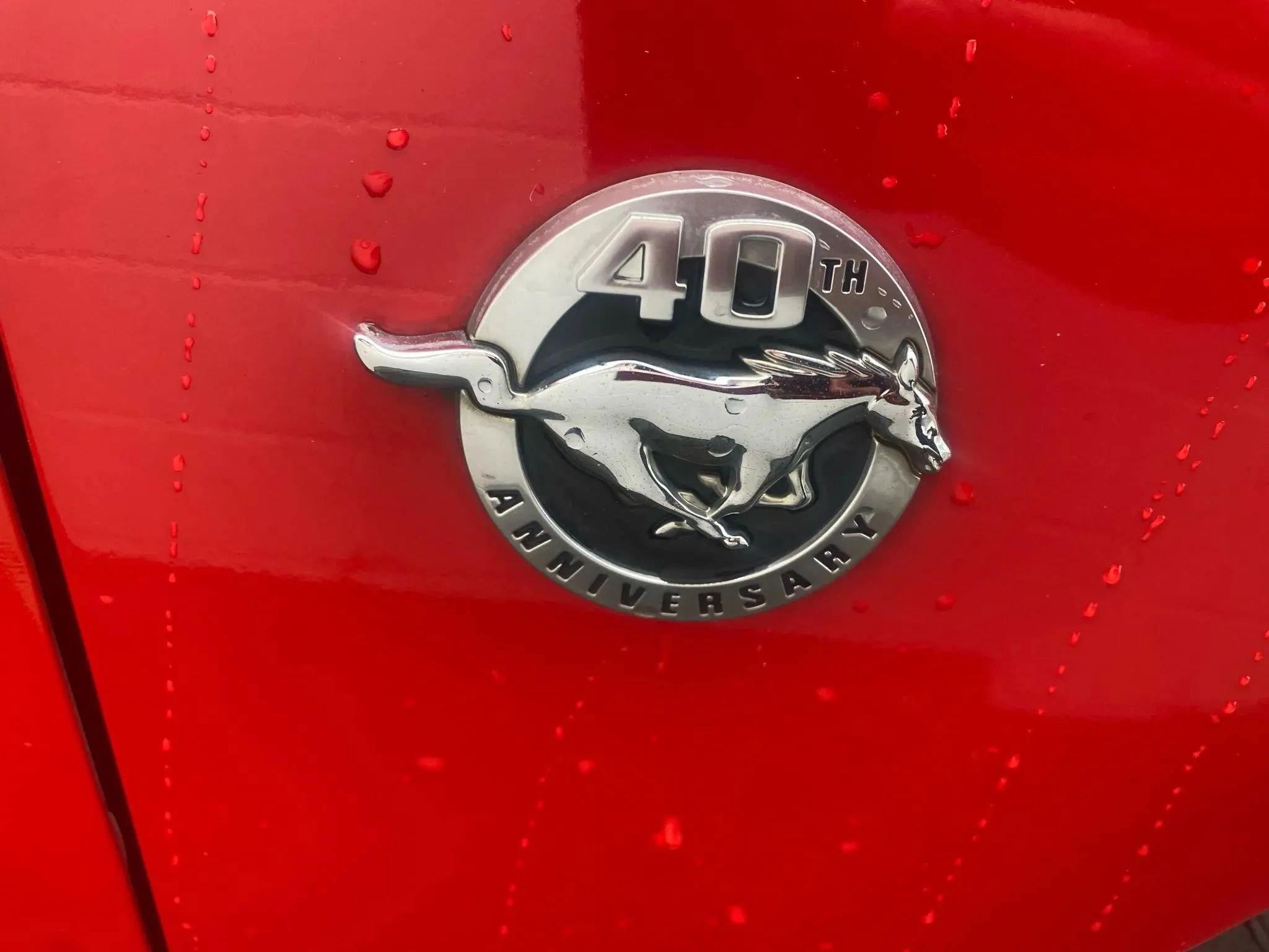 Used 2004 Ford Mustang Premium image 5