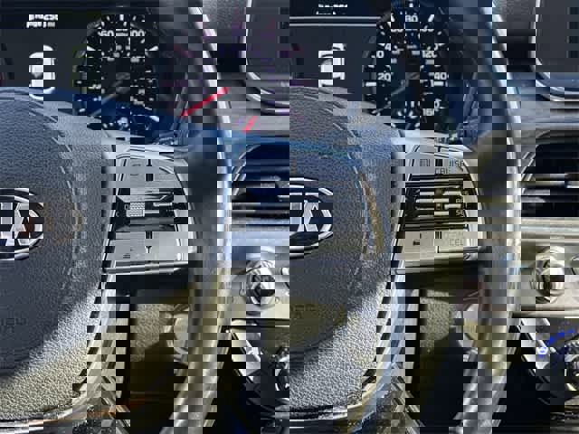 Used 2020 Kia Telluride SX w/ SX Prestige Package image 10