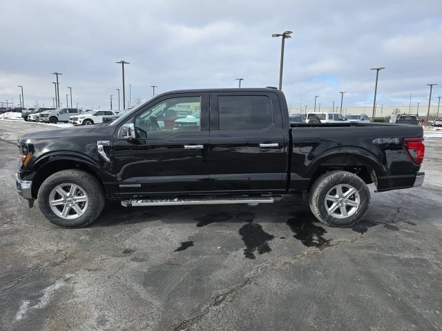 New 2025 Ford F150 XLT w/ Equipment Group 302A MID AWD/4WD image 2