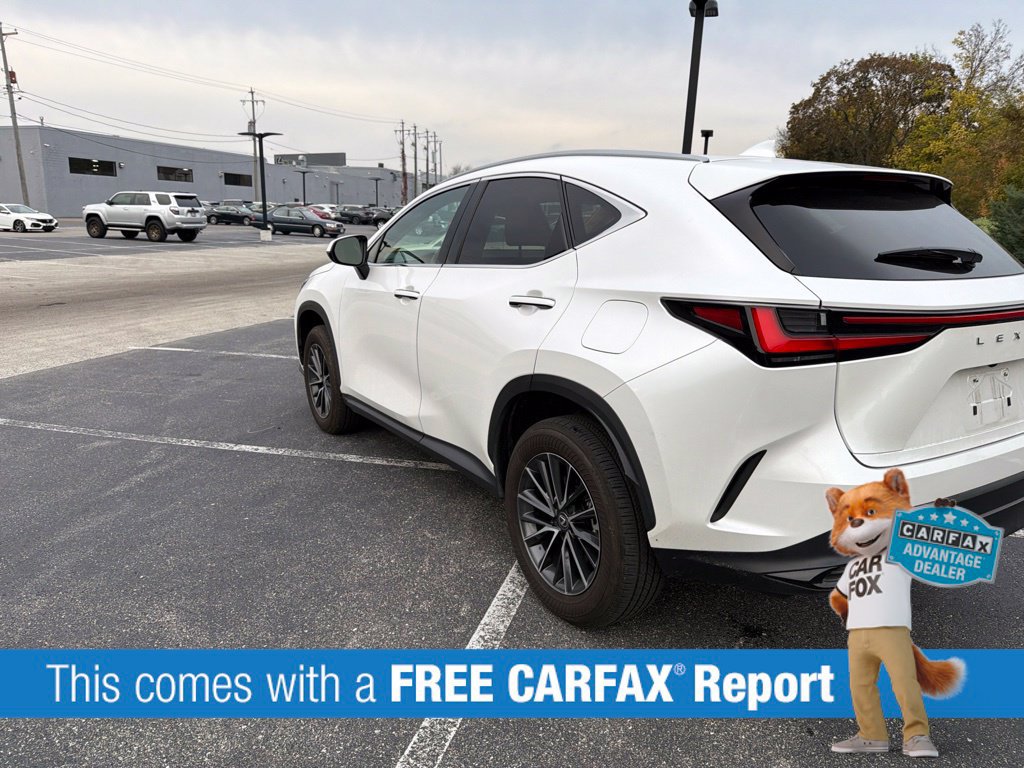 Used 2024 Lexus NX 350 AWD w/ Cold Area Package image 3