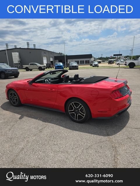 Used 2018 Ford Mustang Premium w/ Equipment Group 201A RWD image 8