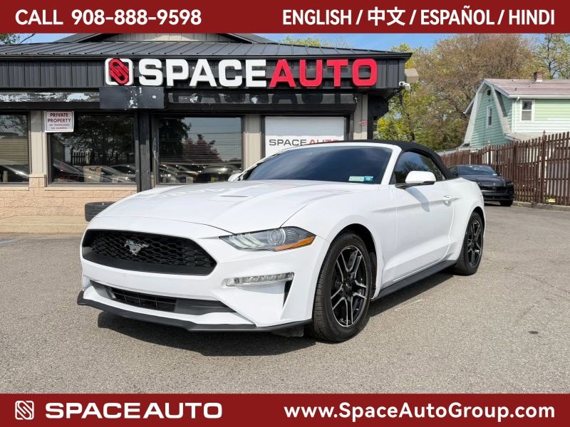 Used 2019 Ford Mustang Premium w/ Equipment Group 201A RWD image 1