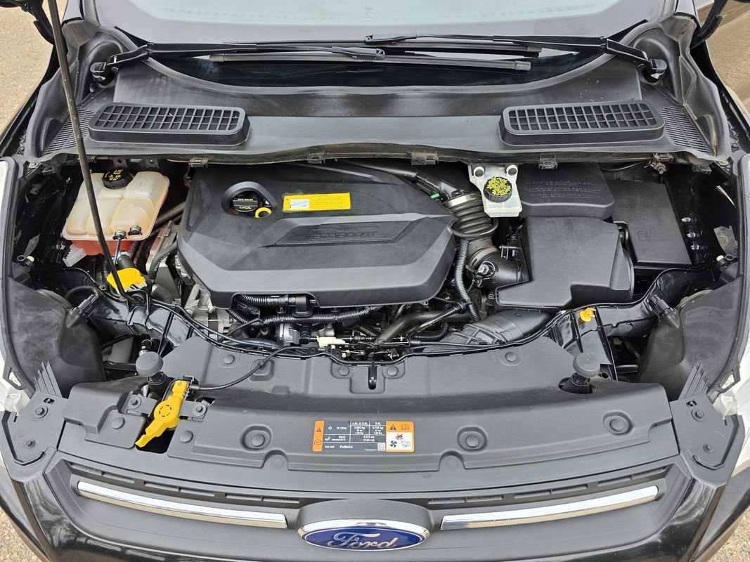 Used 2015 Ford Escape SE FWD image 37