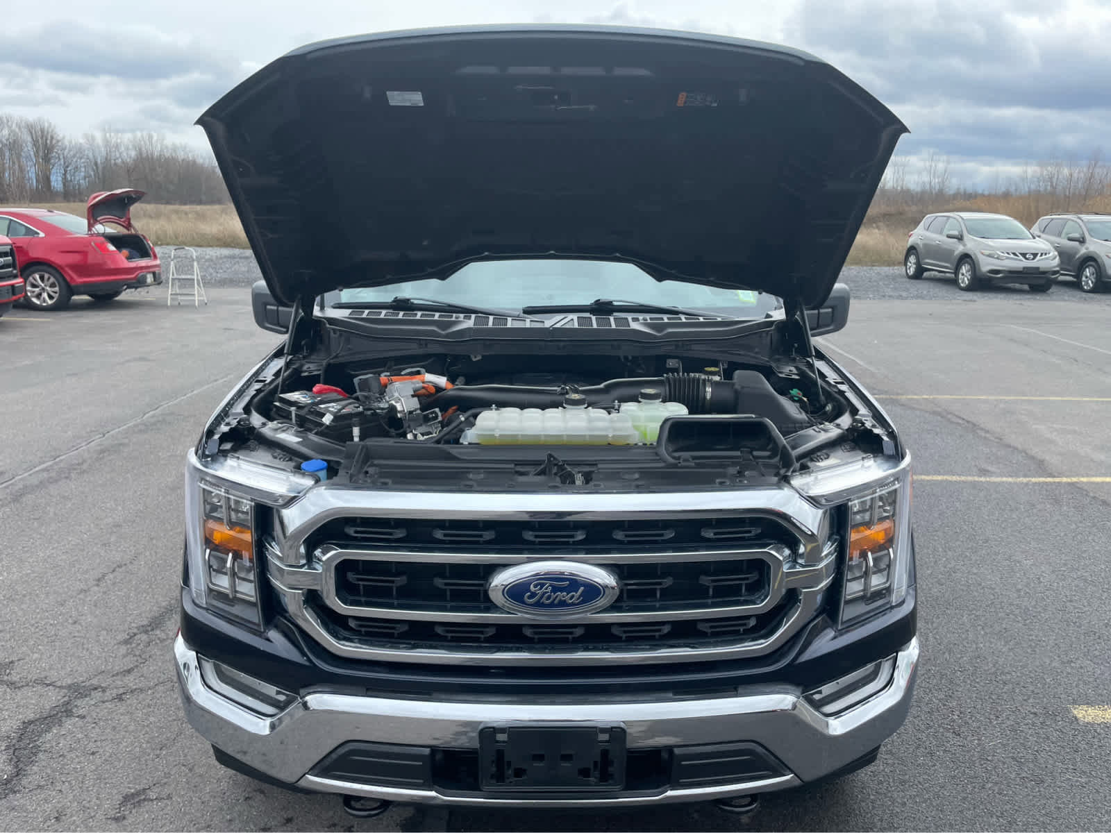 Used 2023 Ford F150 XLT w/ Equipment Group 302A High image 37