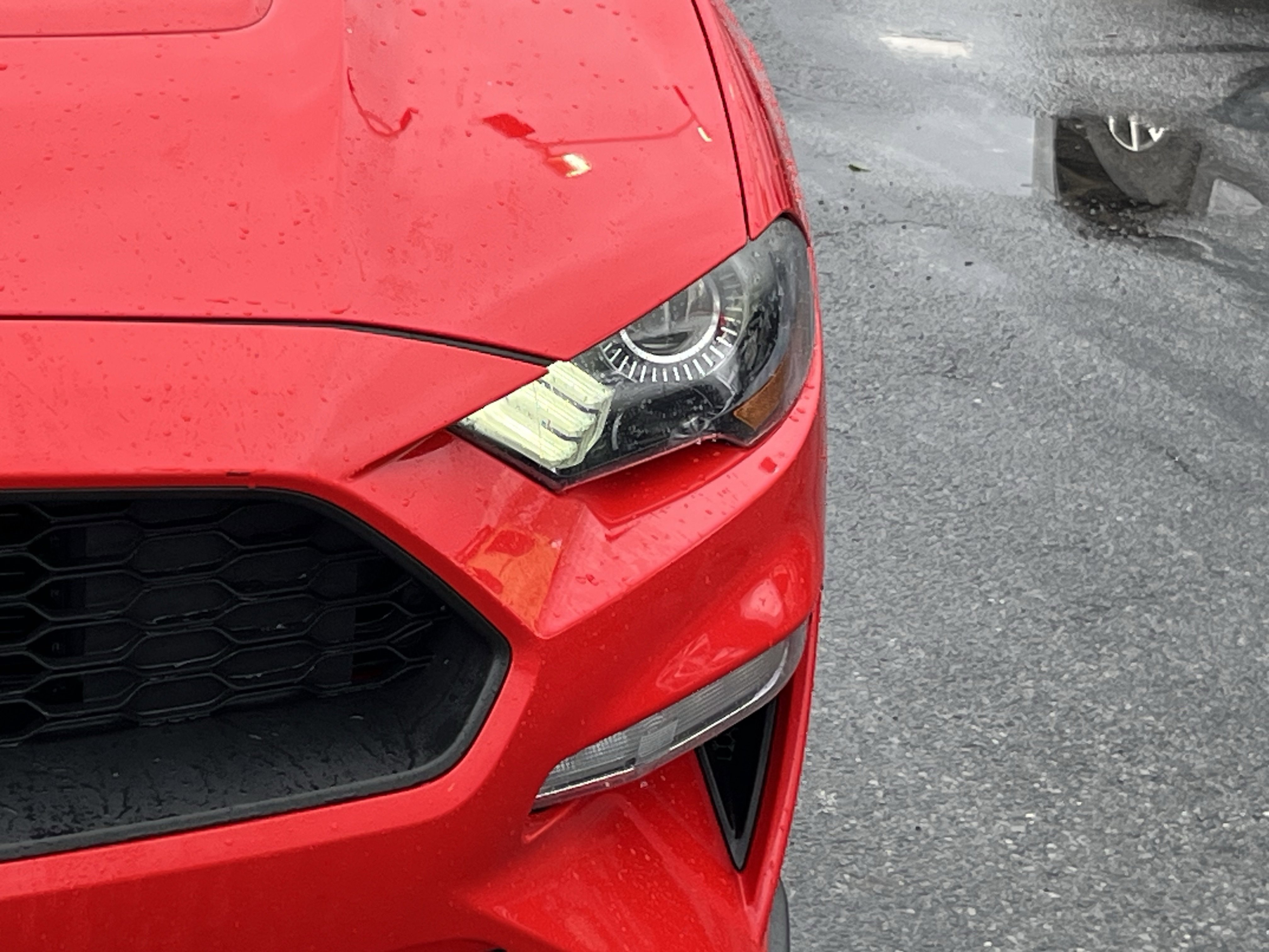 Used 2019 Ford Mustang Coupe w/ Black Accent Package RWD image 11