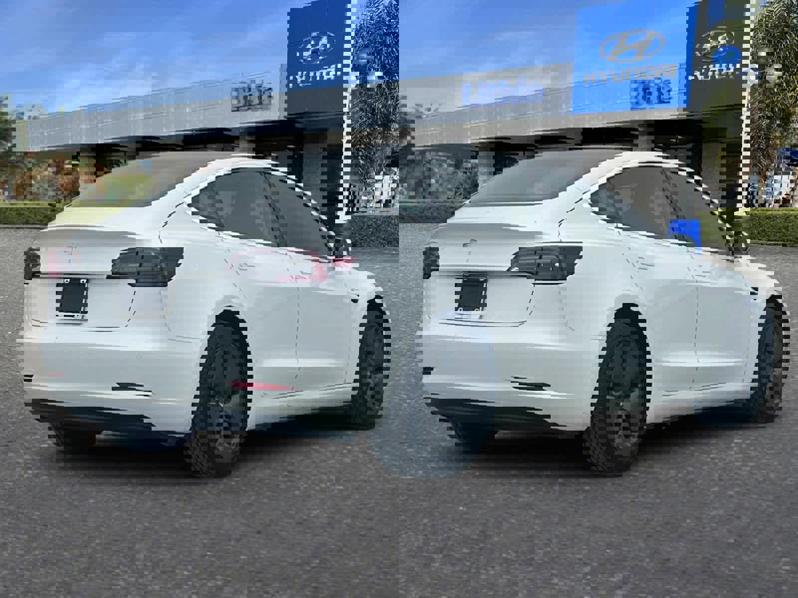 Used 2019 Tesla Model 3 Standard Range Plus image 3