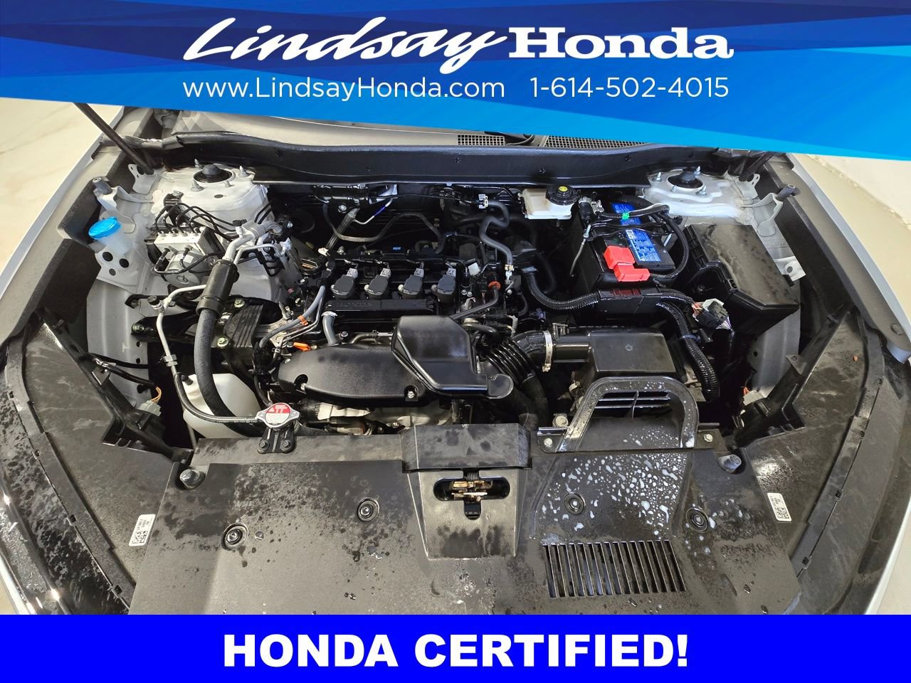 Certified 2024 Honda CR-V EX-L image 25