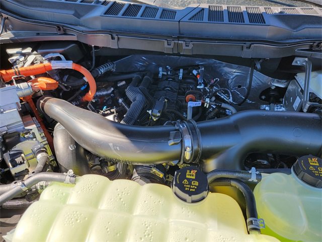 New 2025 Ford F150 XLT image 35