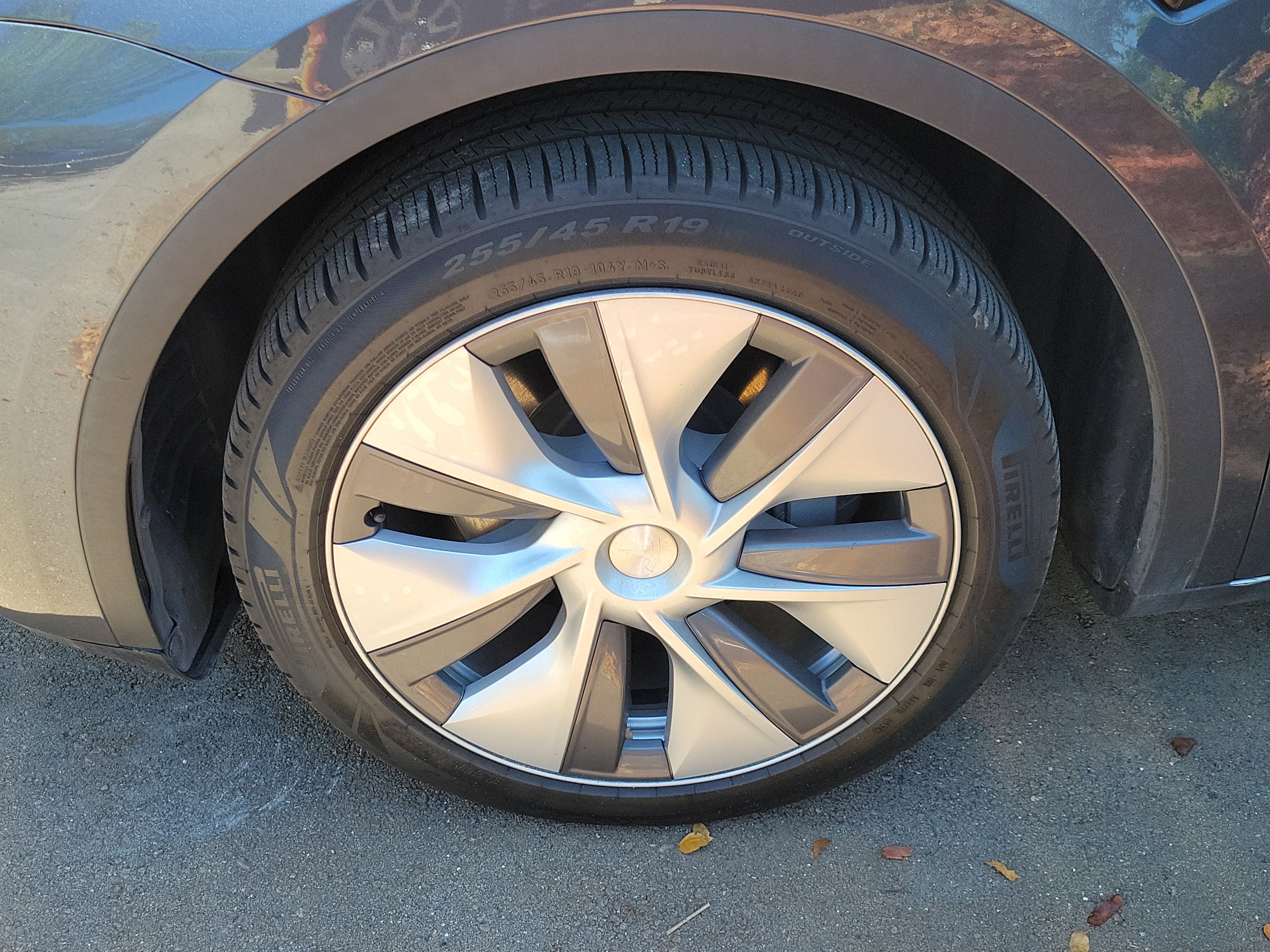 Used 2023 Tesla Model Y Long Range AWD/4WD image 2