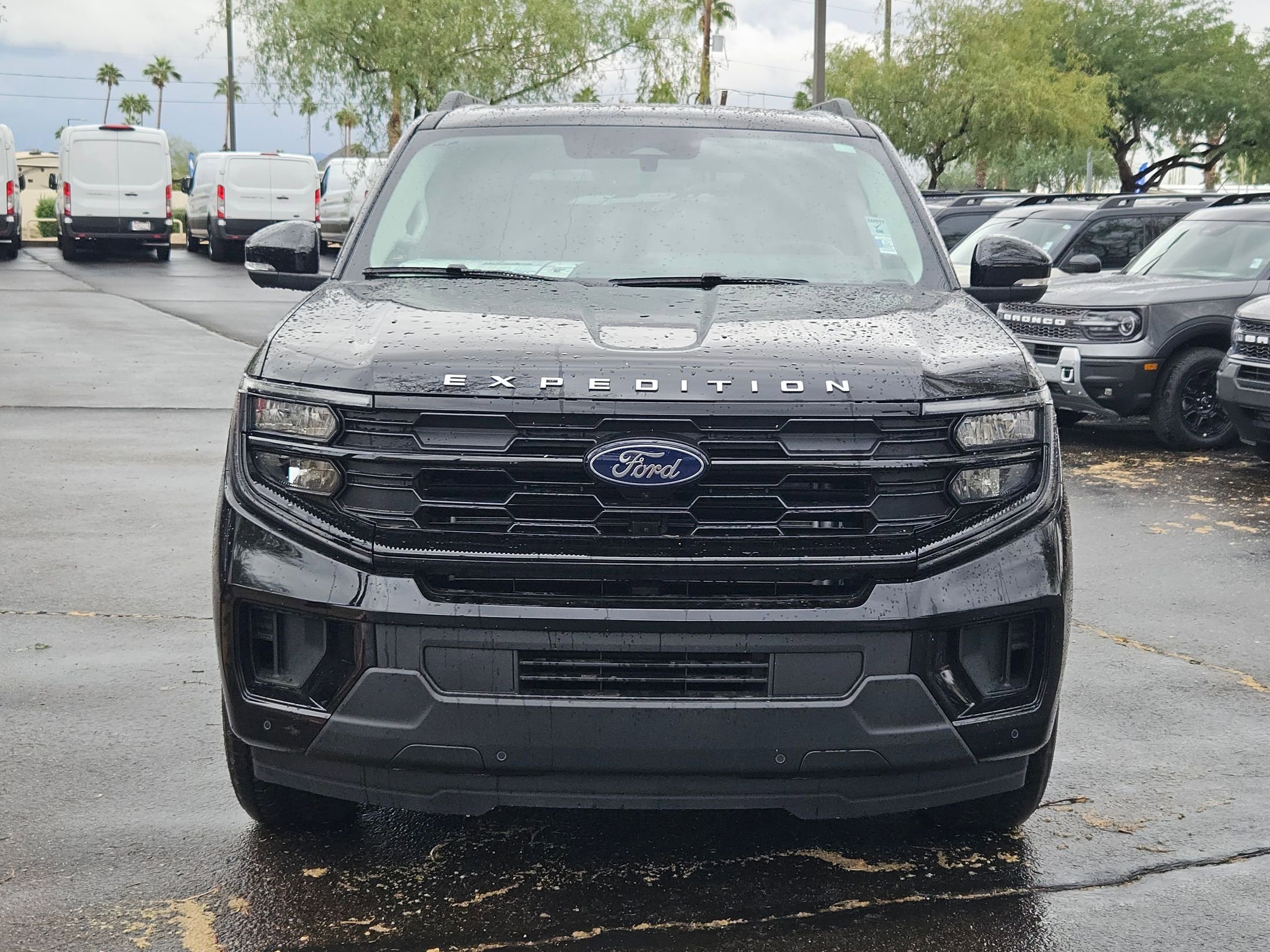 New 2025 Ford Expedition Active image 2