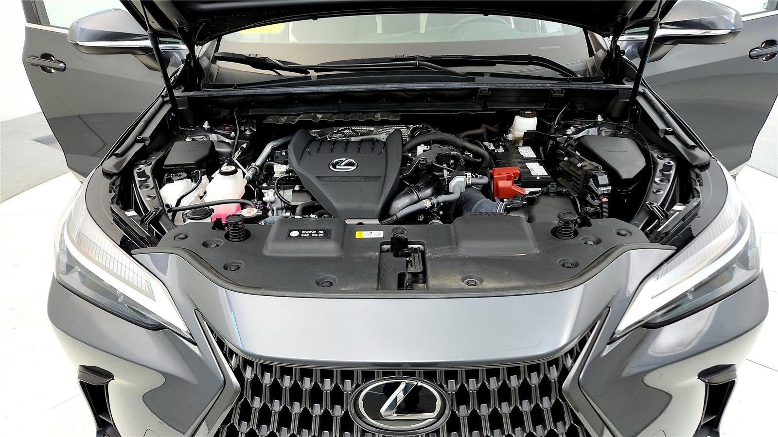 Used 2024 Lexus NX 350 NX 350 w/ Cold Area Package image 15