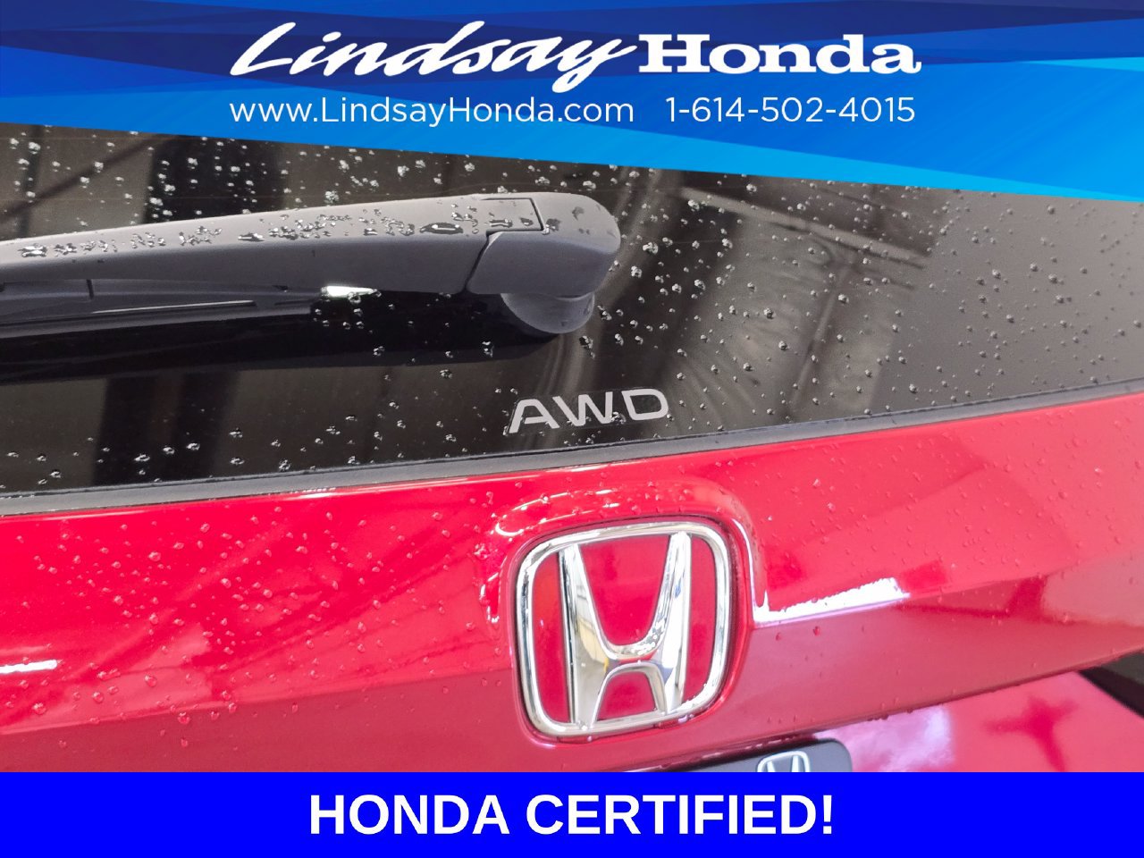 Certified 2024 Honda CR-V EX image 7