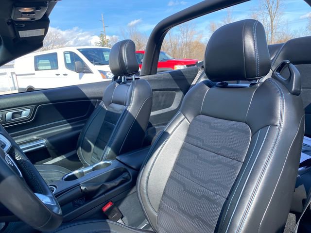 Used 2022 Ford Mustang Premium image 13