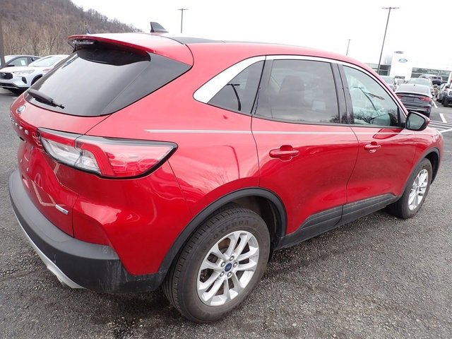 Used 2020 Ford Escape SE image 5