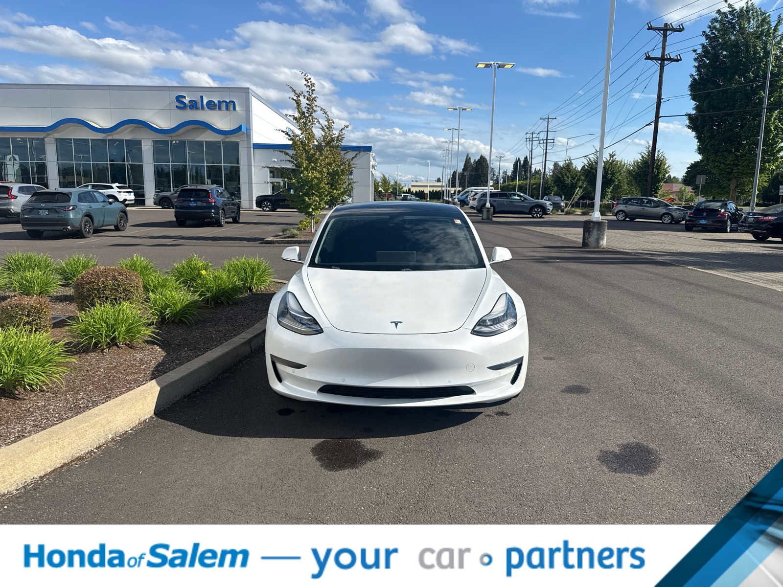 Used 2020 Tesla Model 3 Standard Range Plus RWD image 6