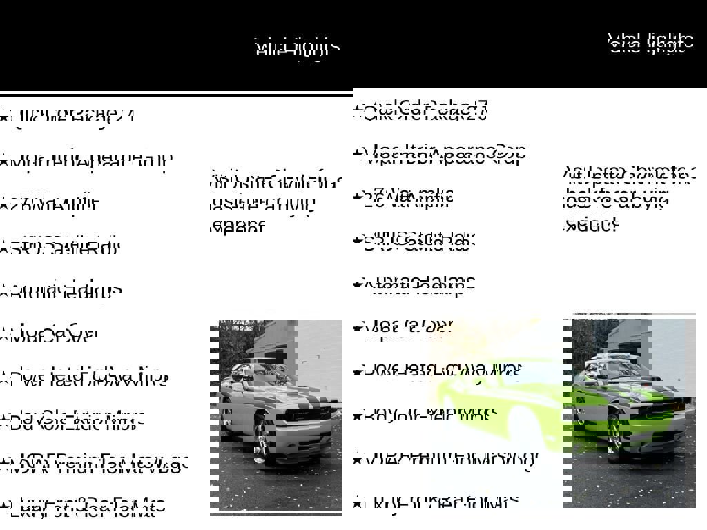 Used 2009 Dodge Challenger R/T image 9