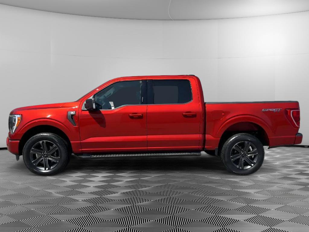Used 2023 Ford F150 XLT w/ Equipment Group 302A High AWD/4WD image 5