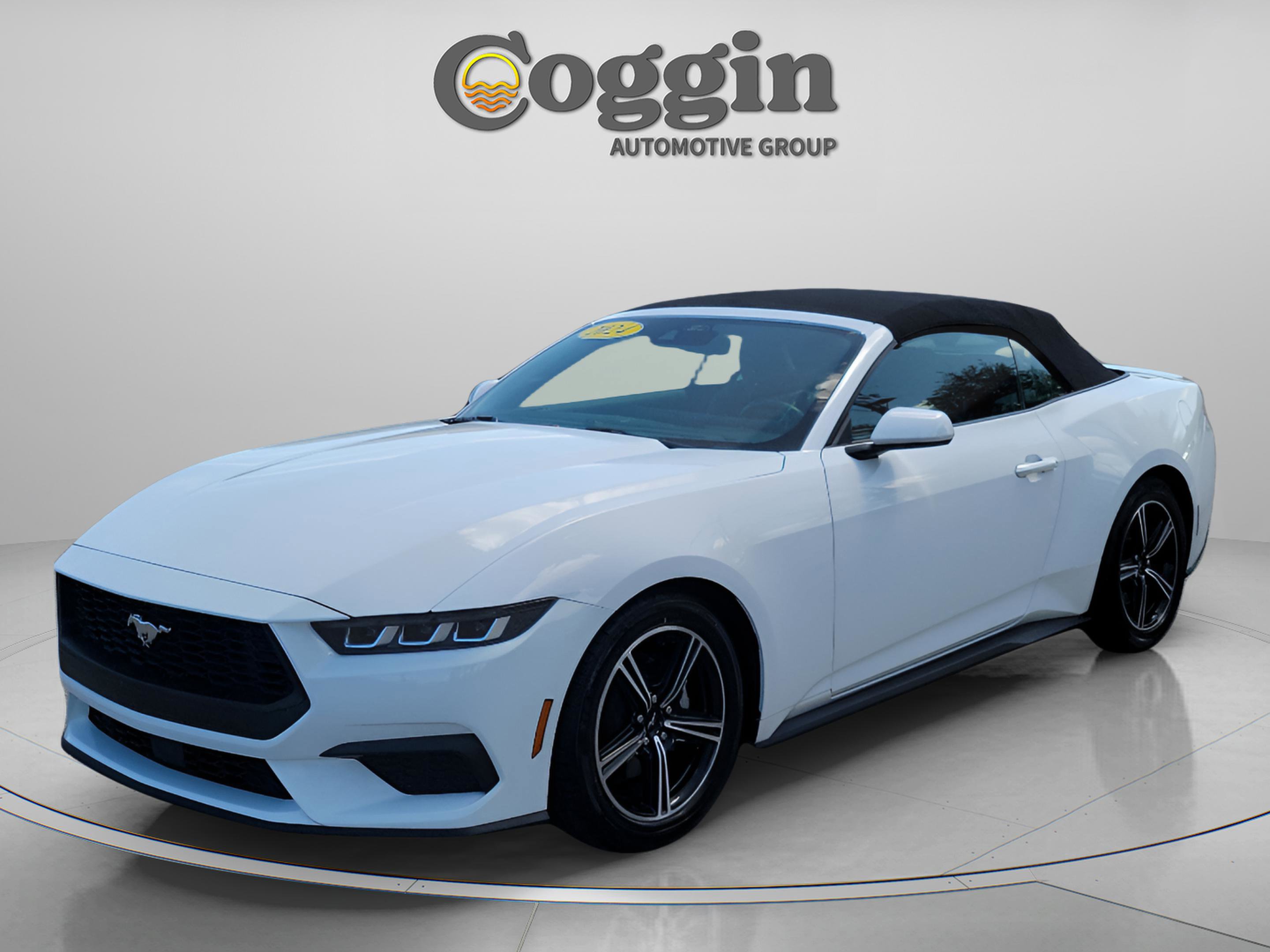 Used 2024 Ford Mustang Premium image 1