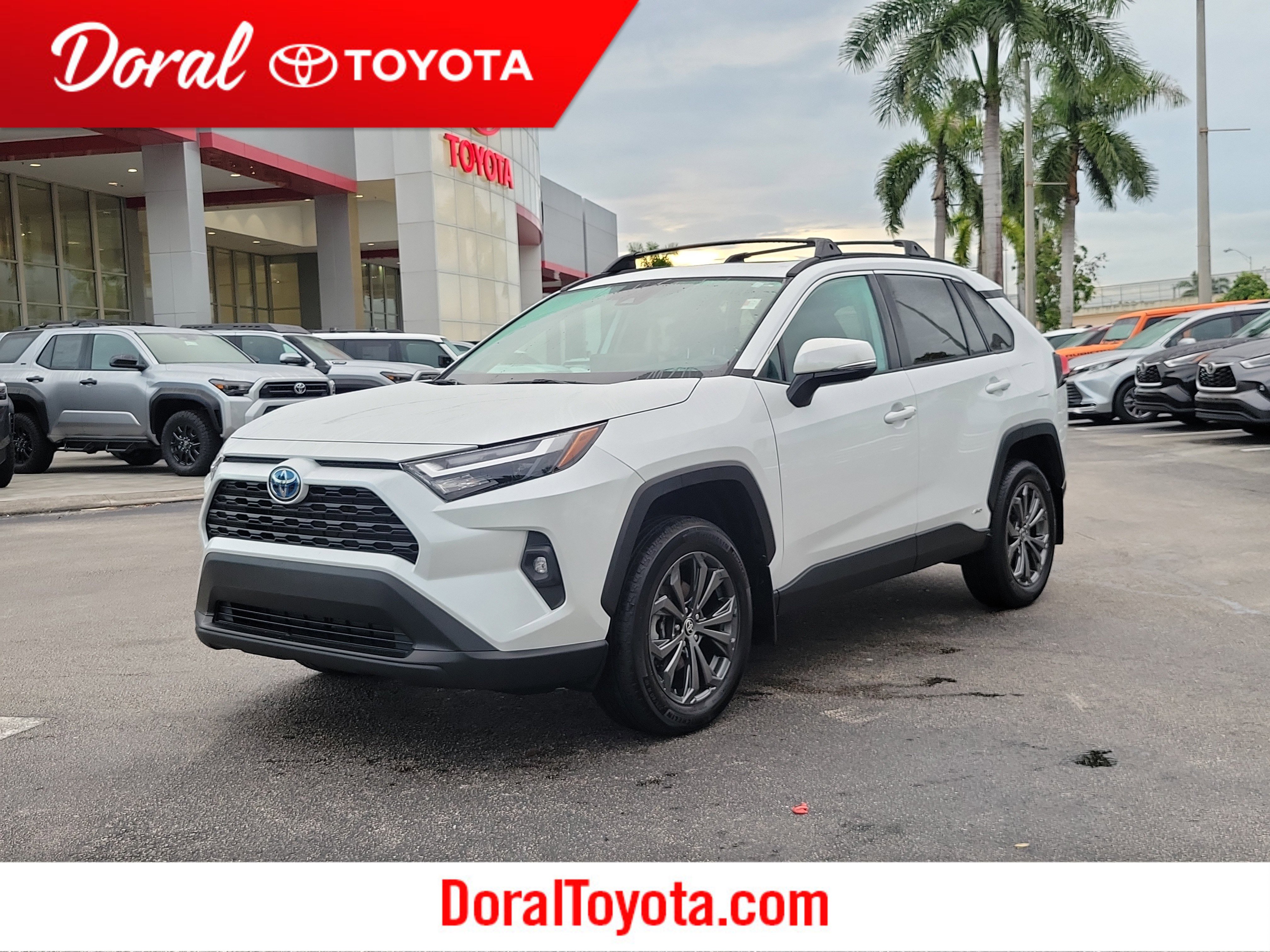 Used 2024 Toyota RAV4 XLE Premium image 1