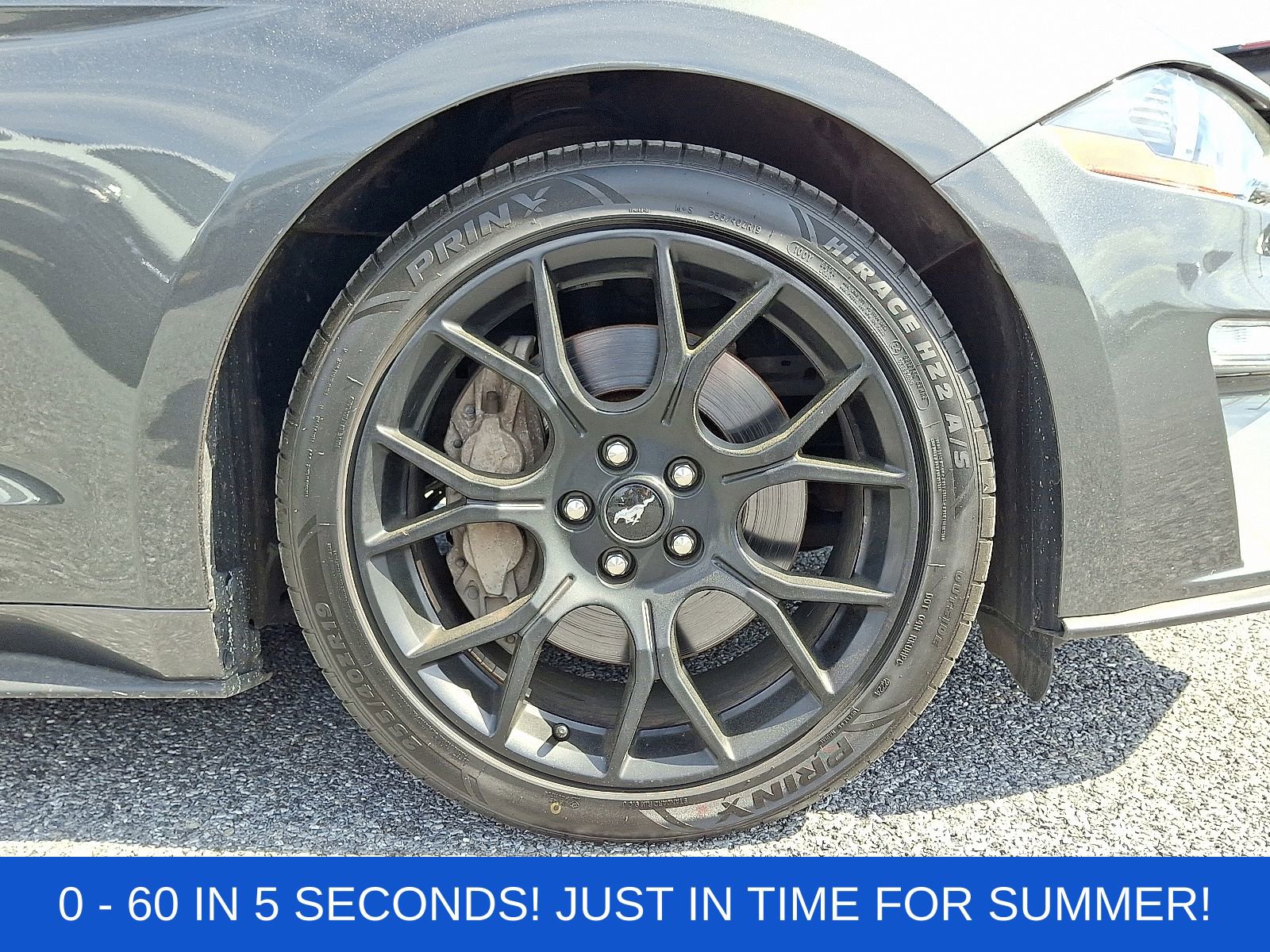 Used 2019 Ford Mustang Coupe w/ Ecoboost Performance Package image 9