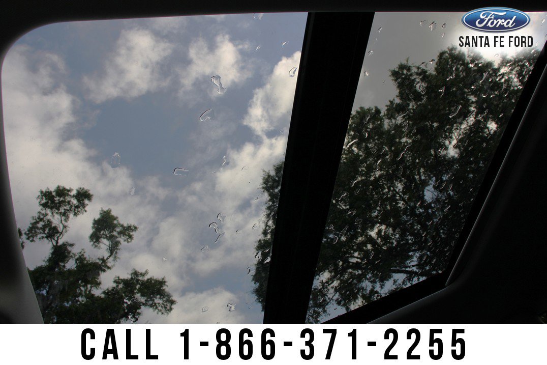 New 2025 Ford Expedition Active image 39