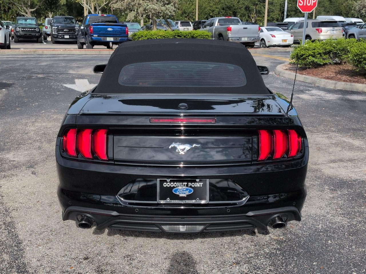 Used 2020 Ford Mustang Premium w/ Equipment Group 201A RWD image 5