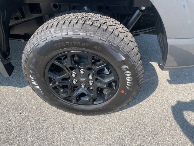 New 2025 Ford F150 XLT w/ Equipment Group 302A MID image 20