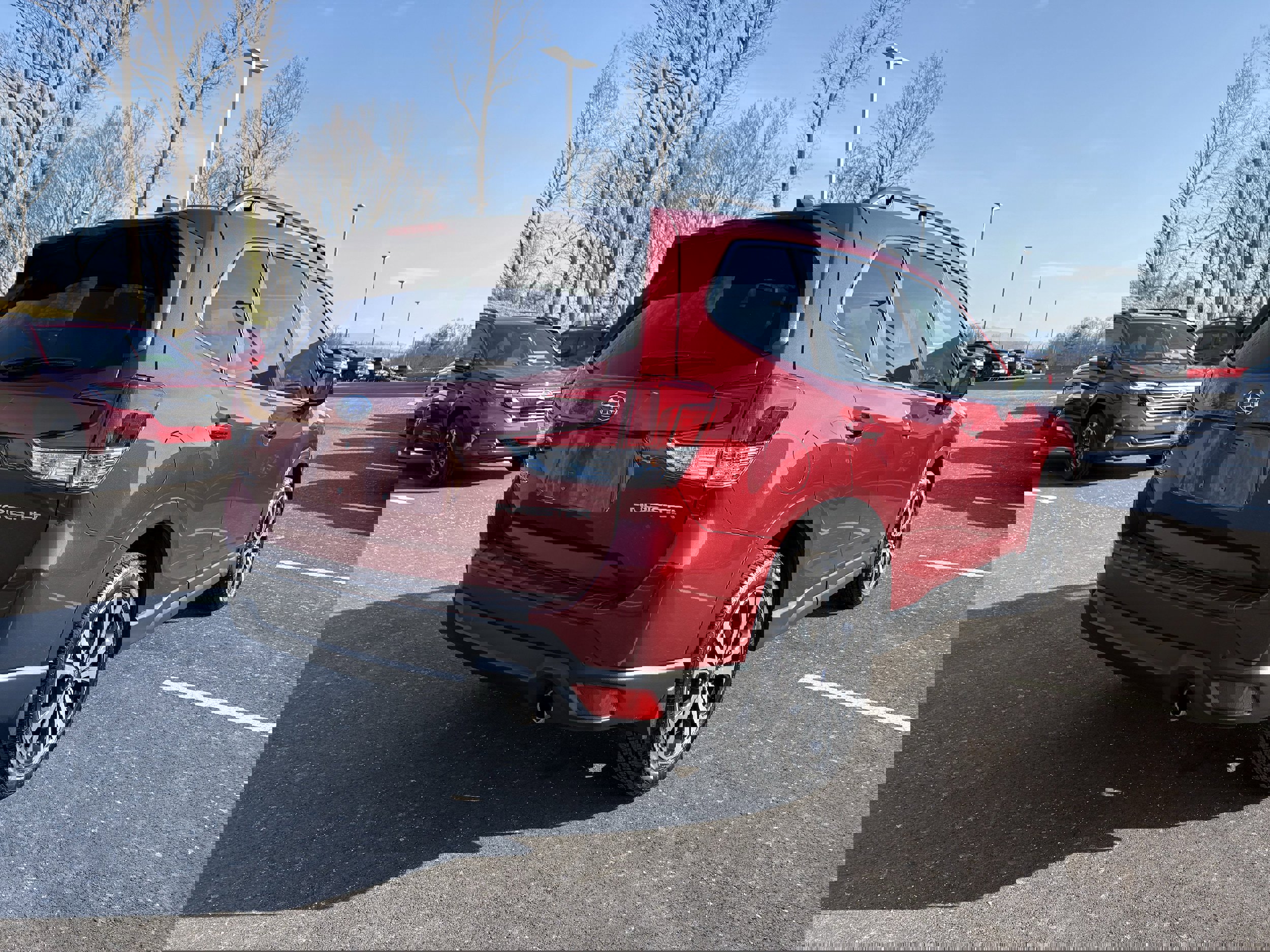 Certified 2024 Subaru Forester Limited w/ Convenience Package image 9