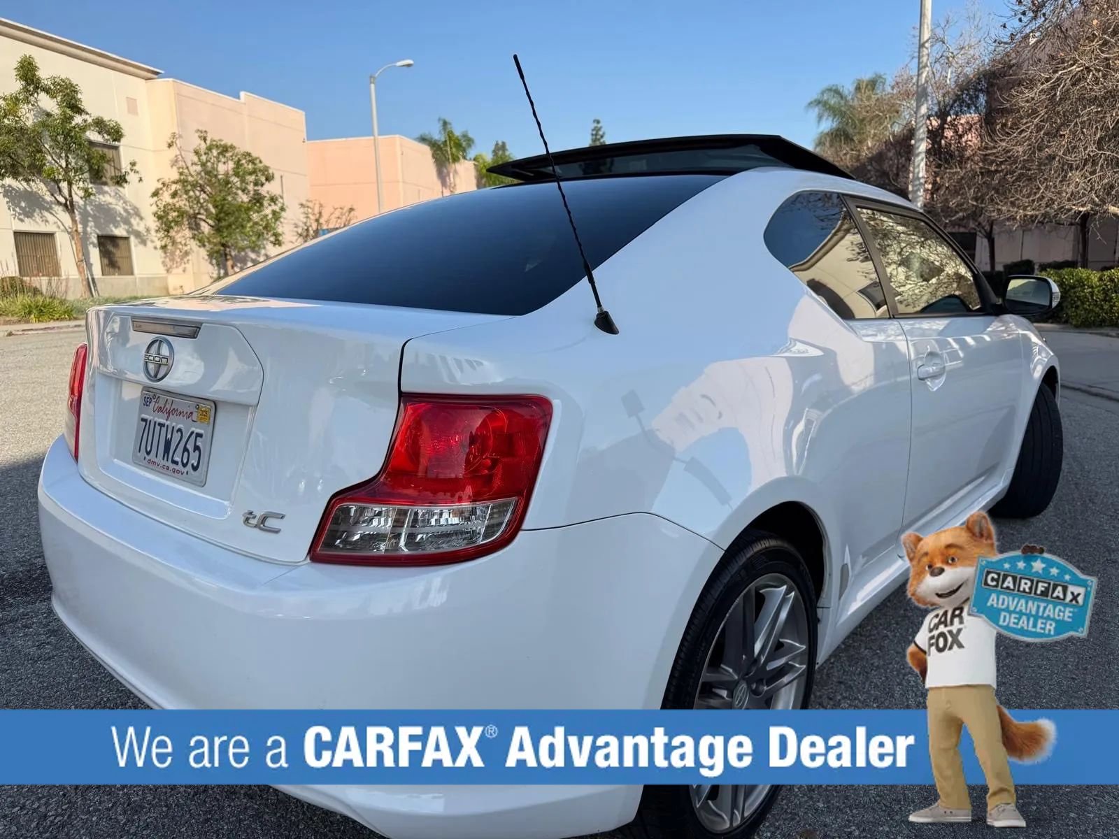 Used 2013 Scion tC image 3