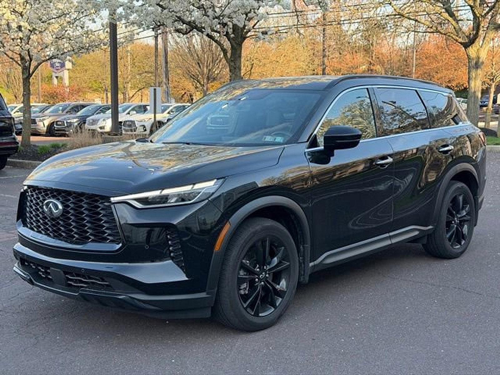 Certified 2025 INFINITI QX60 Luxe w/ Black Edition image 3