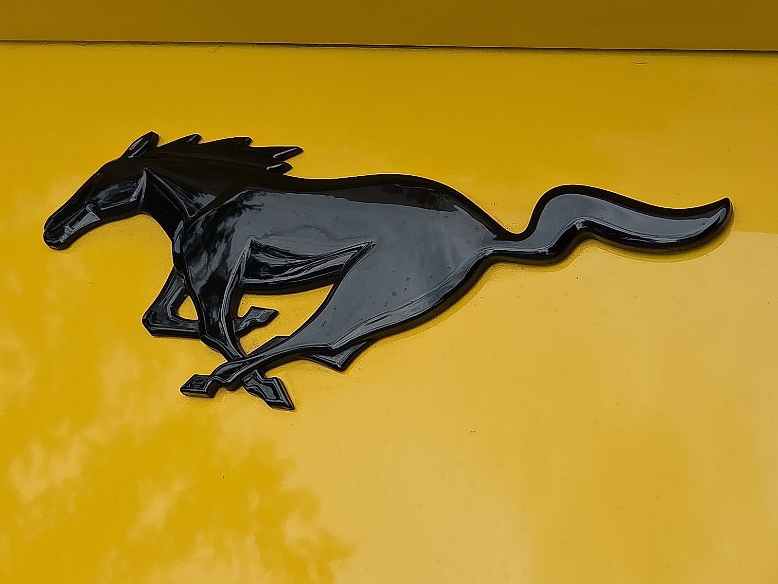 Certified 2024 Ford Mustang Coupe RWD image 34
