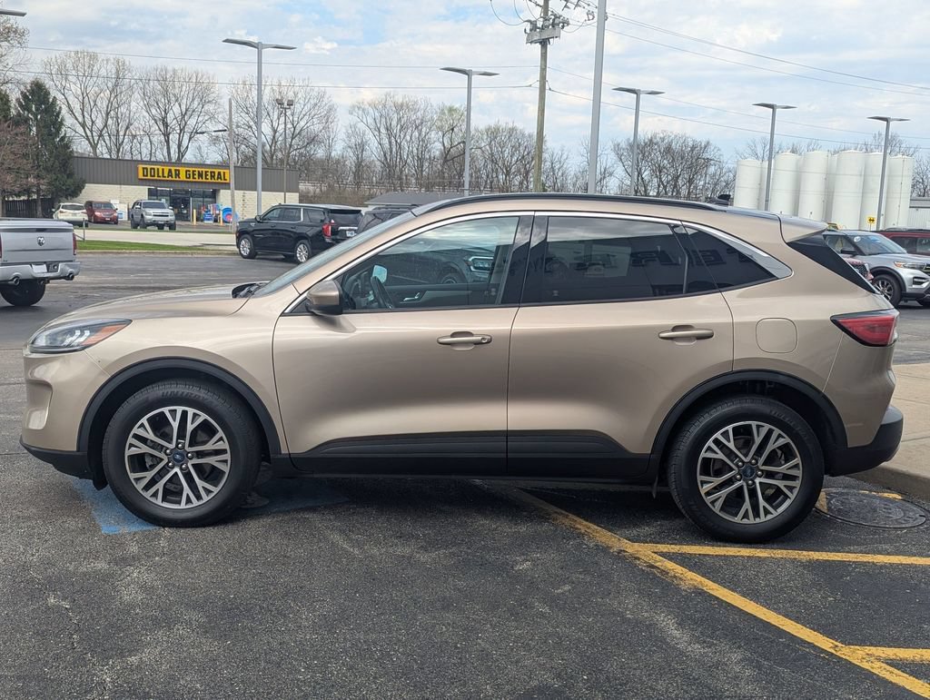 Used 2020 Ford Escape SEL AWD/4WD image 6