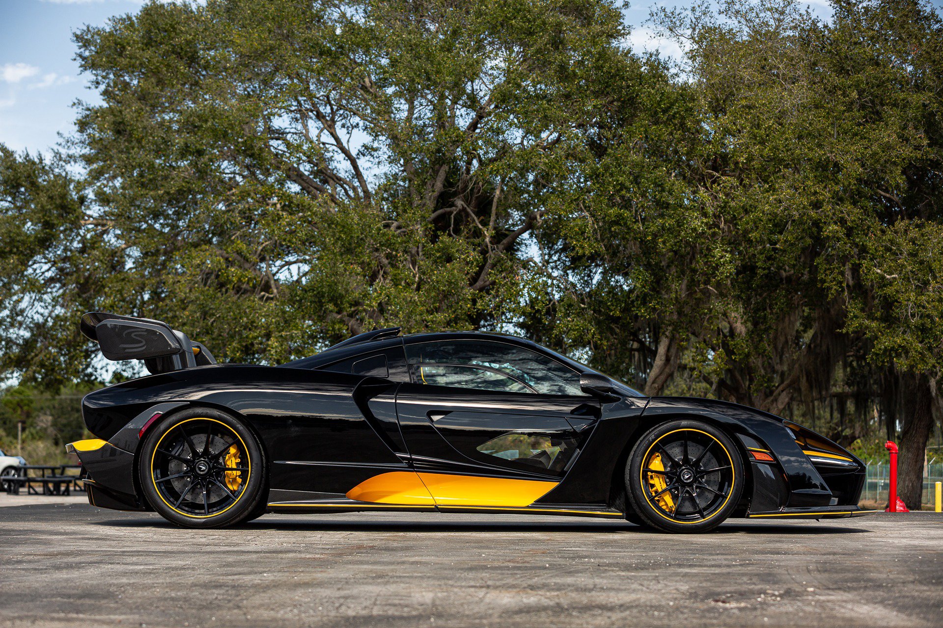 Used 2019 McLaren Senna image 39
