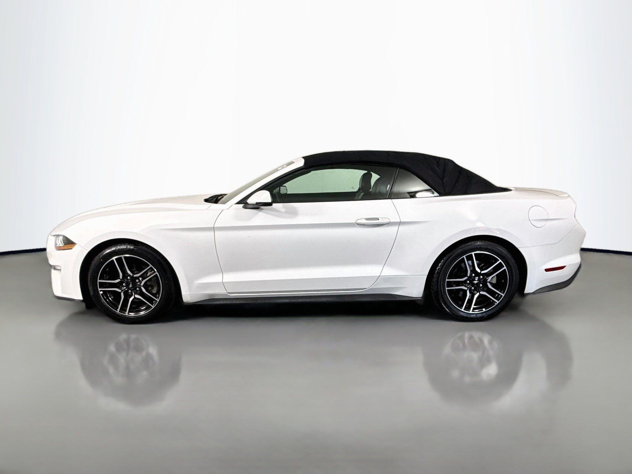 Used 2019 Ford Mustang Premium RWD image 6