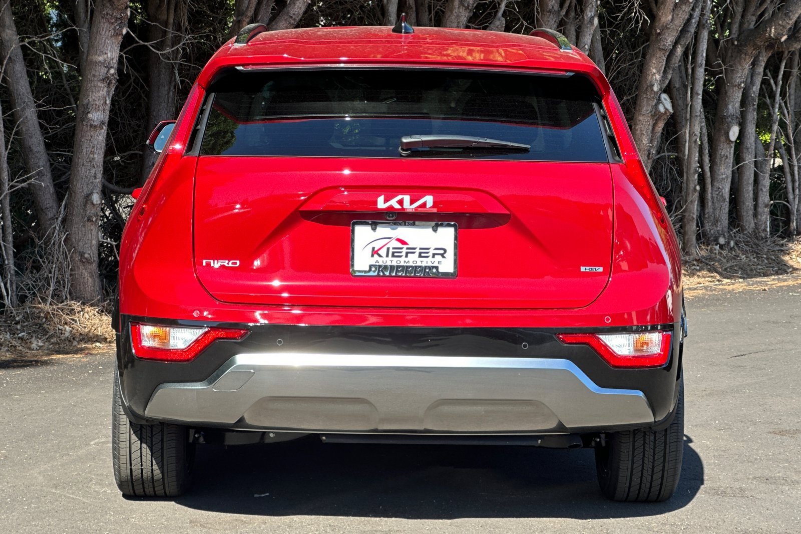 New 2025 Kia Niro EX Touring image 4