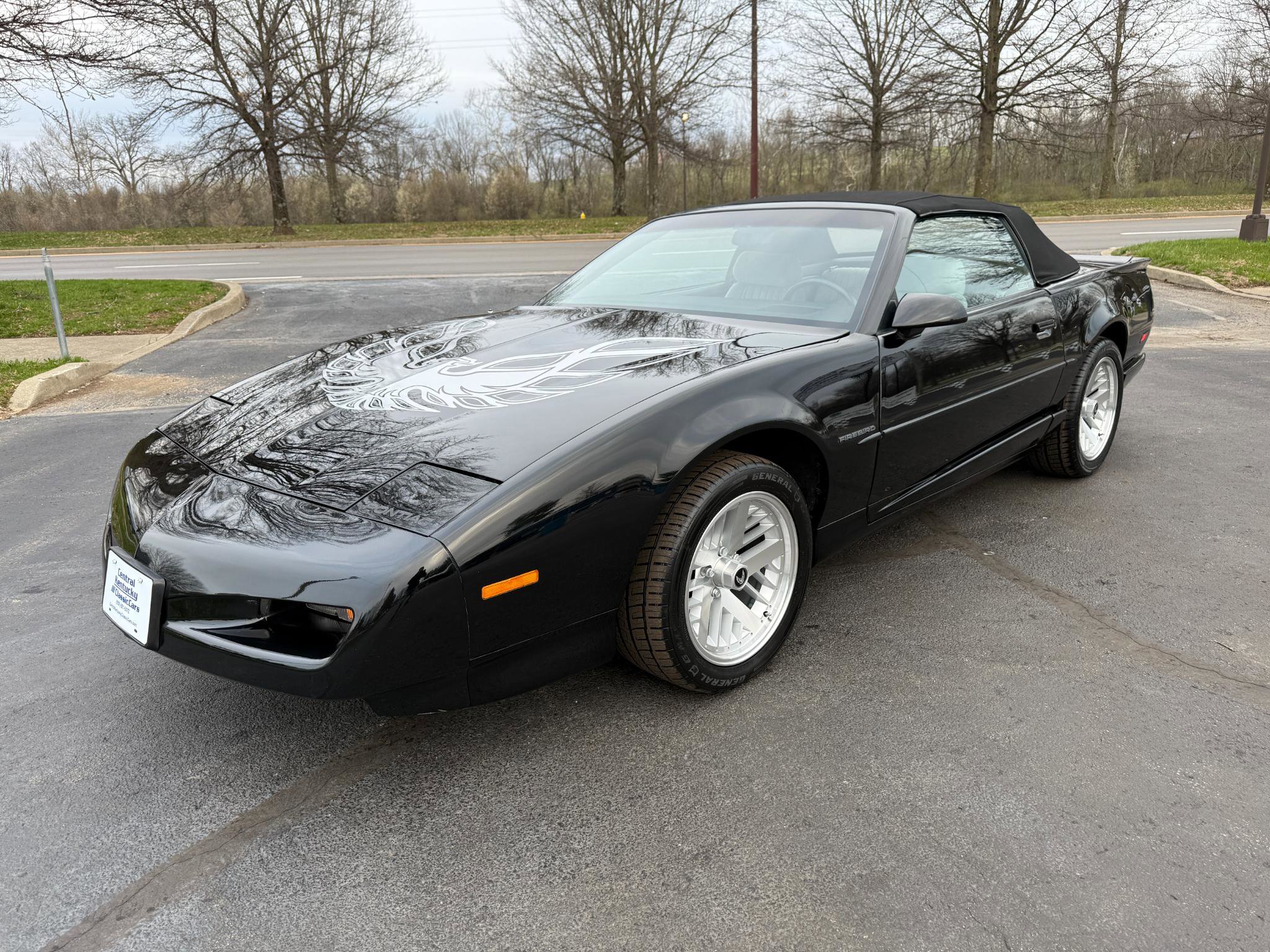Used 1991 Pontiac Firebird Convertible image 6
