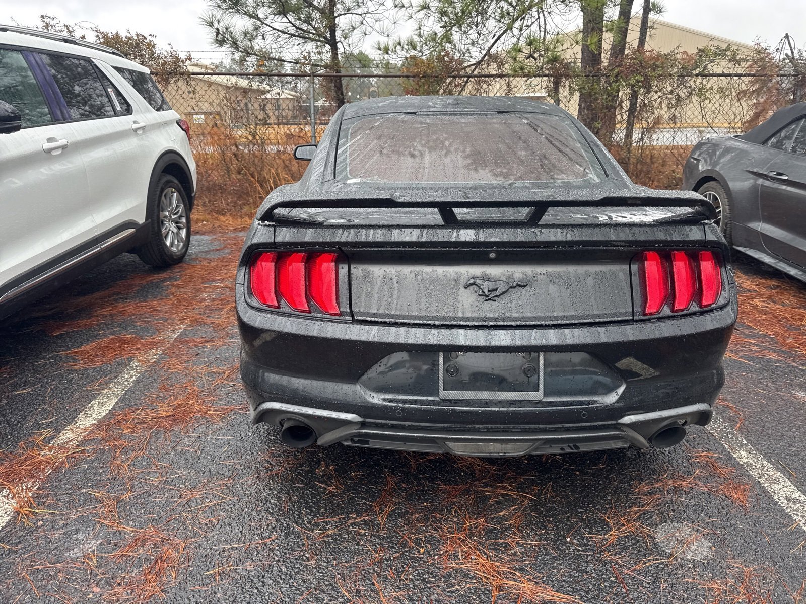 Used 2018 Ford Mustang Premium w/ Ecoboost Performance Package image 6