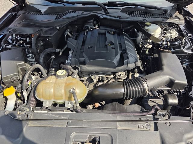 Used 2019 Ford Mustang Premium RWD image 19