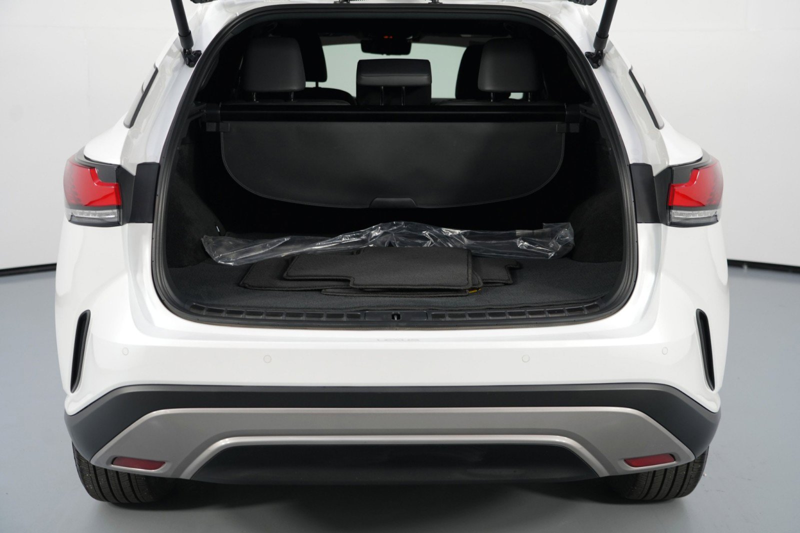 Used 2023 Lexus RX 350 Luxury w/ Cold Area Package image 10