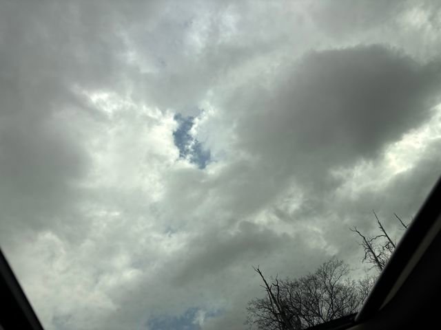 Used 2019 Volkswagen Jetta SEL image 14