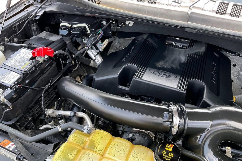 Used 2019 Ford F150 XL w/ Equipment Group 101A Mid AWD/4WD image 31